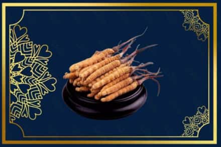 日喀则昂仁县回收冬虫夏草